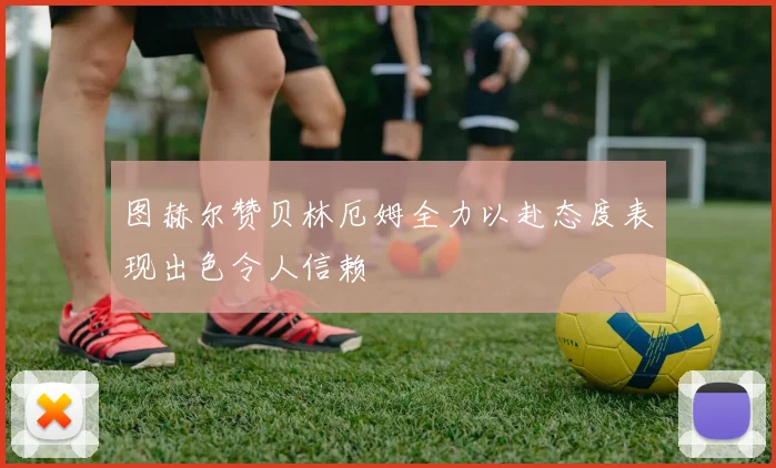 图赫尔赞贝林厄姆全力以赴态度表现出色令人信赖